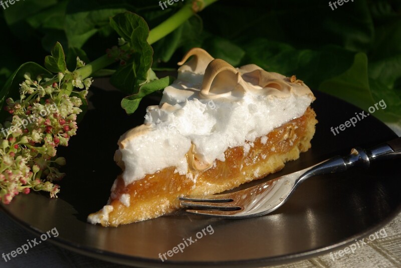 Rhubarb Cake Pastries Dessert Cholesterol York's Cholesterol-free Cookbook