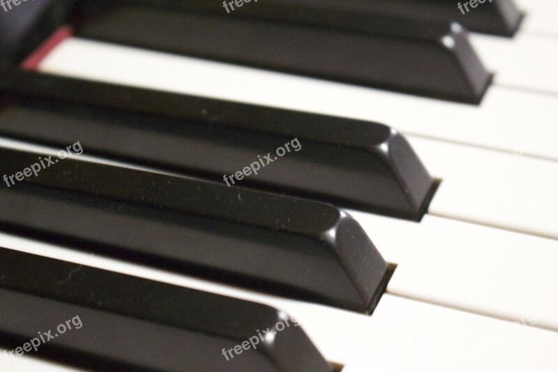 Music Sound Piano Free Photos