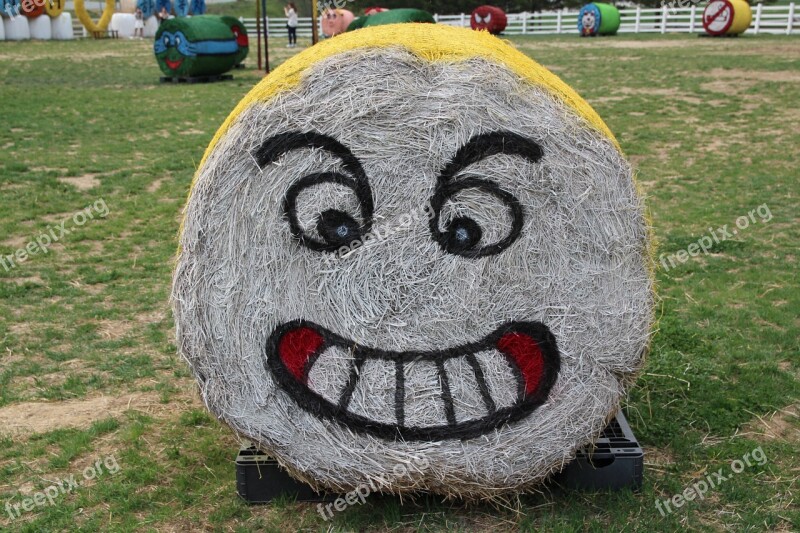 Laughter Buffoonery Cuteness Park Sculpture