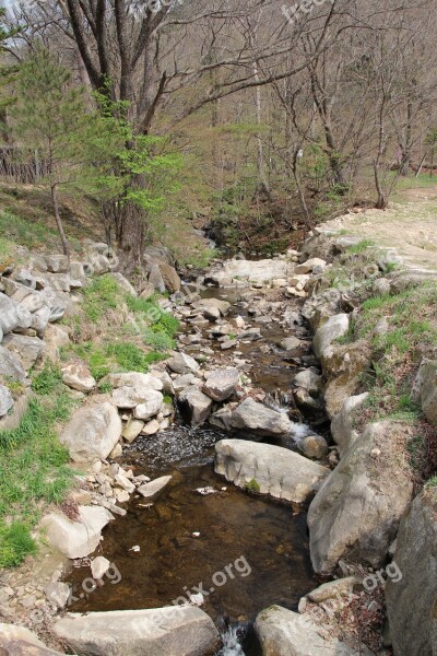 The Creek Nature Spring Streams Country