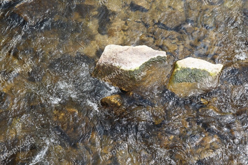 The Creek Water Nature Stone Moss