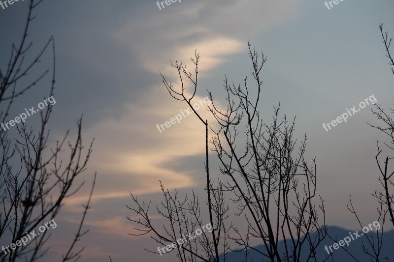 Winter Sky Wood Desolation Loneliness