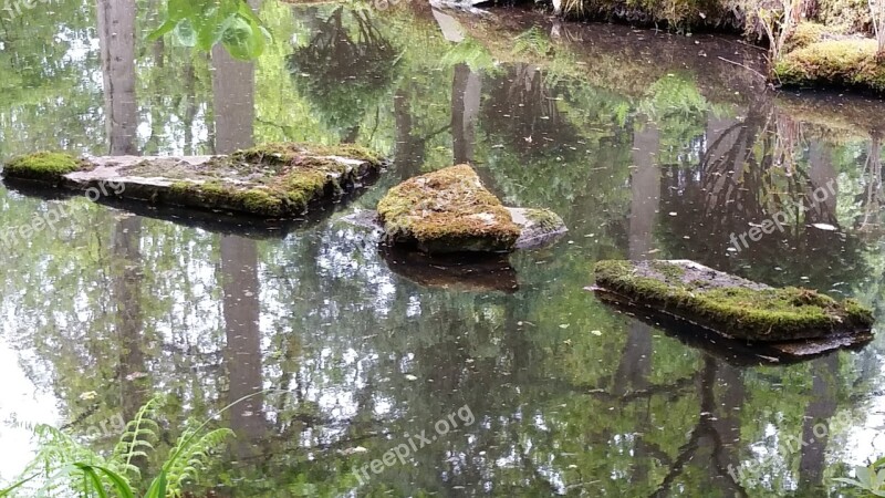 Step Stones Water Brook Free Photos