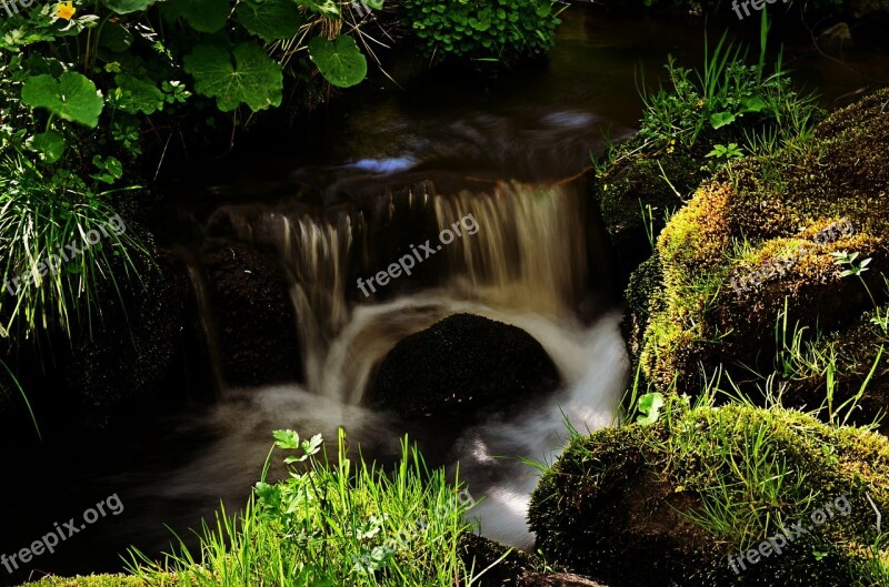 Nature River Water South Bohemia šumava