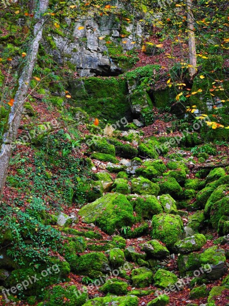 Slope Waldhang Stones Bemoost Elsachbröller