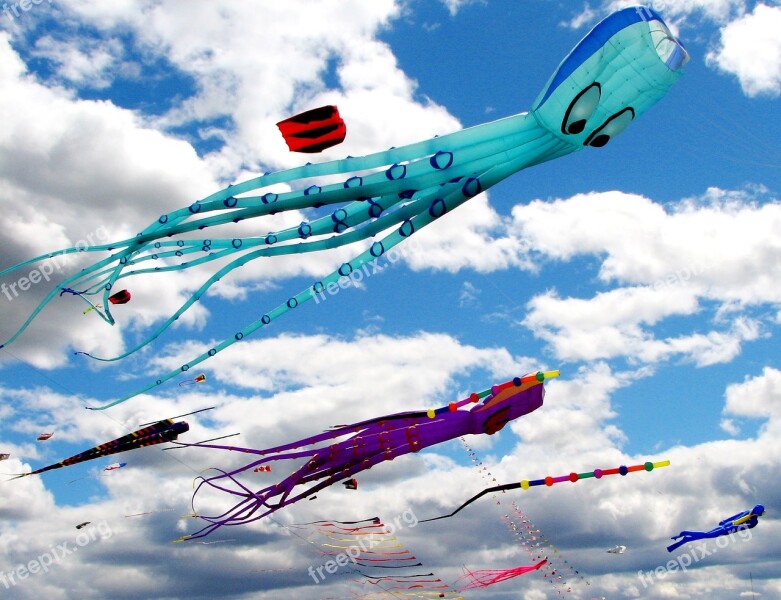 Kites Sky Fun Summer Blue