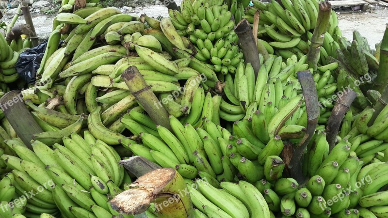 Bananas Banana Tree Green Fruit Free Photos