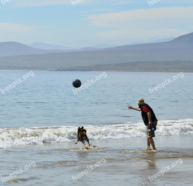 Beach Game Man Dog Coquimbo