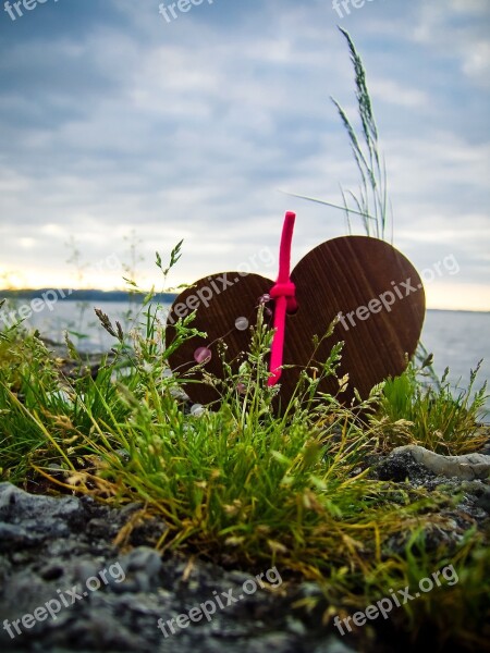 Wooden Heart Landscape Heart Love Idyllic