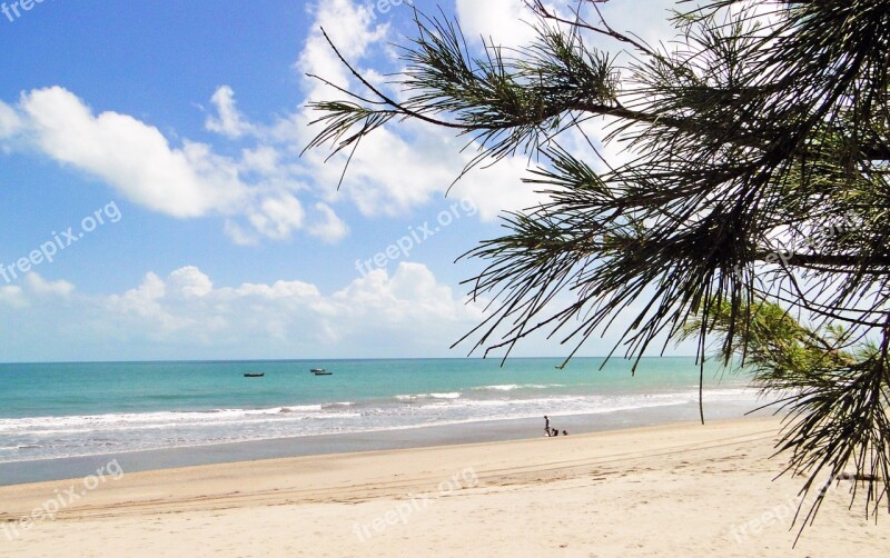 Beach Nature Mar Landscape Horizon