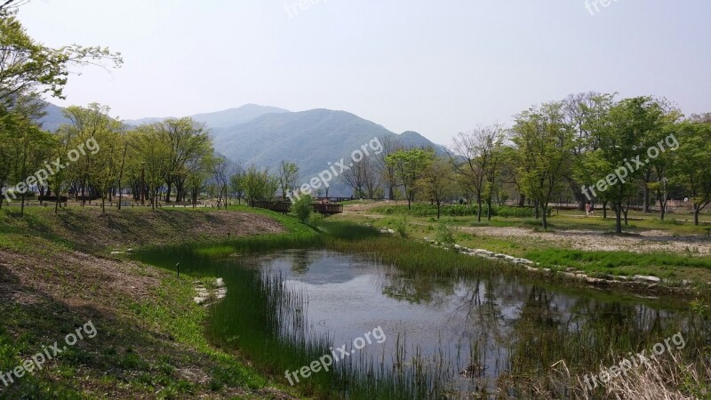 Nature Rest River Green Outdoor