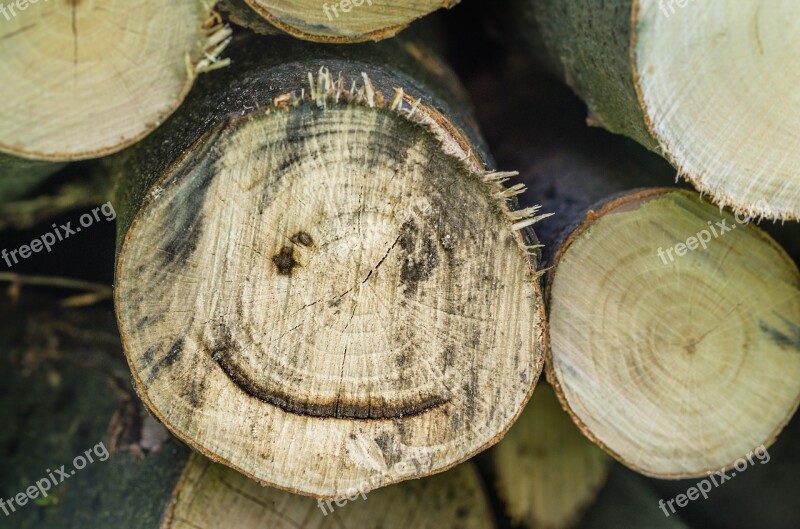 Wood Log Laugh Funny Face