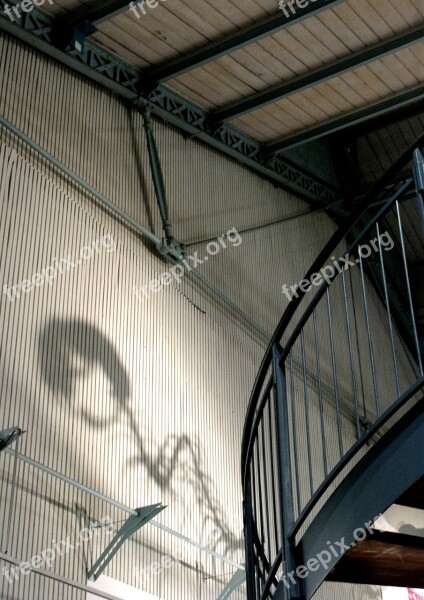 Dinosaur Shadow Museum Interior Paris