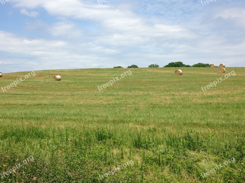 Field Hay Bales Agriculture Crop