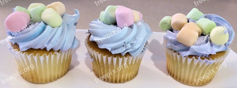 Cupcakes Blue Frosting Mini Marshmallows Sweet Food