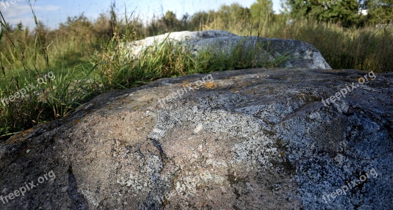 Stones Rock Grass Natural Stones Rocks