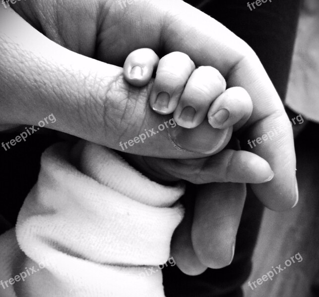 Hand Child Light Fingers Free Photos