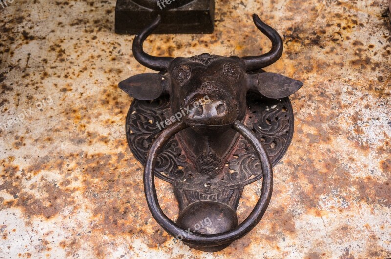 Door Doorknocker Beef Ring Horns