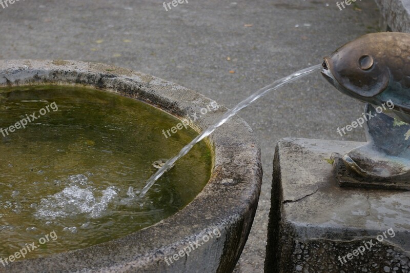 Fountain Water Splash Fish Free Photos