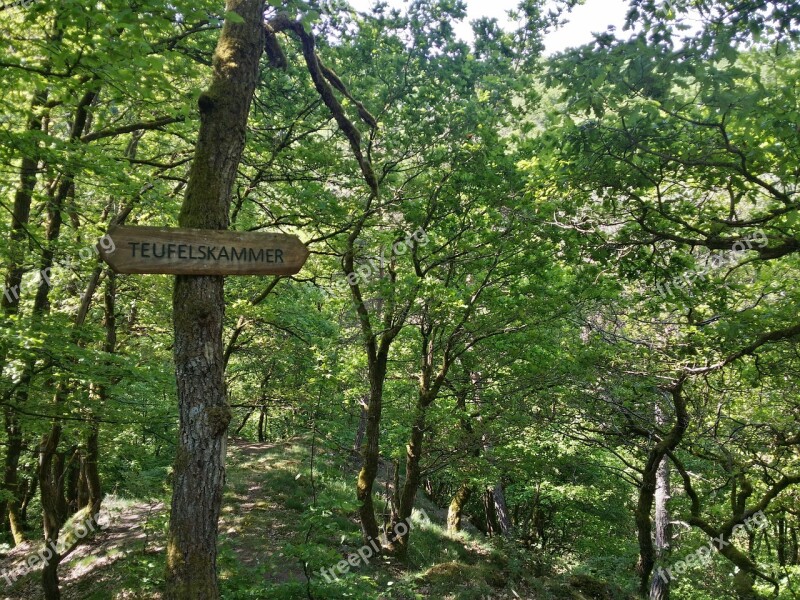 Forest Hiking Dream Path Eifel Pyrmonter