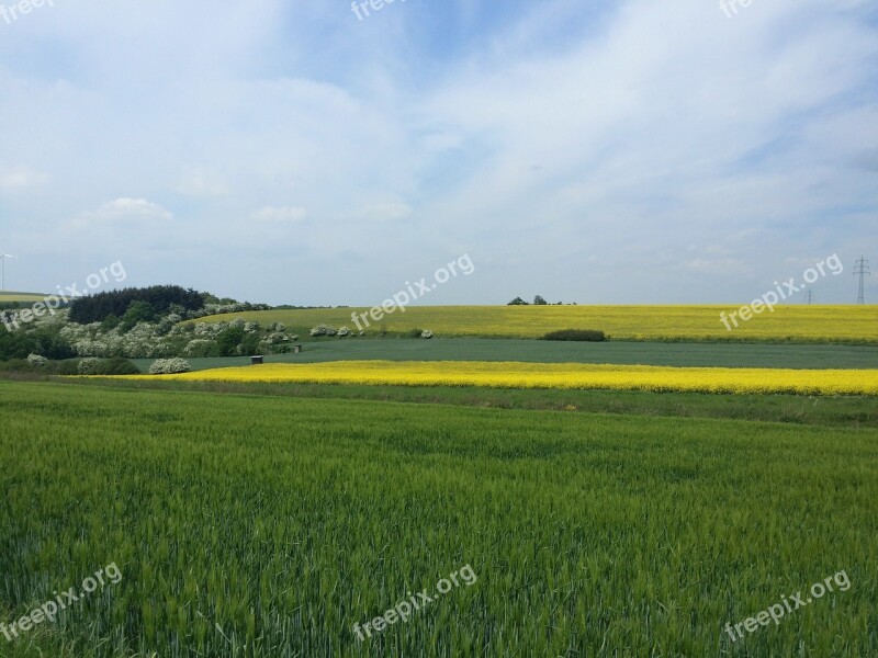 Nature Eifel Dream Path Hiking Free Photos