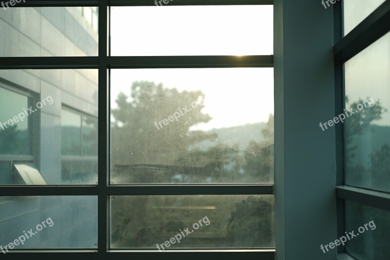 Window Dust Sash Building Glass