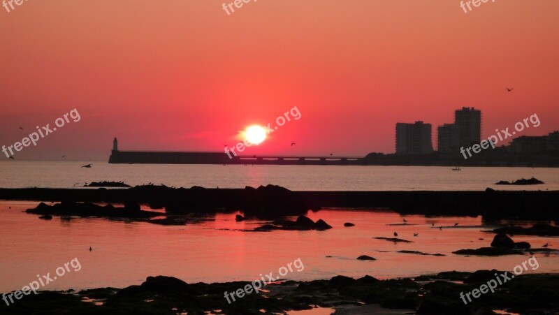 Sunset Seascape Water Lighthouse Silhouettes