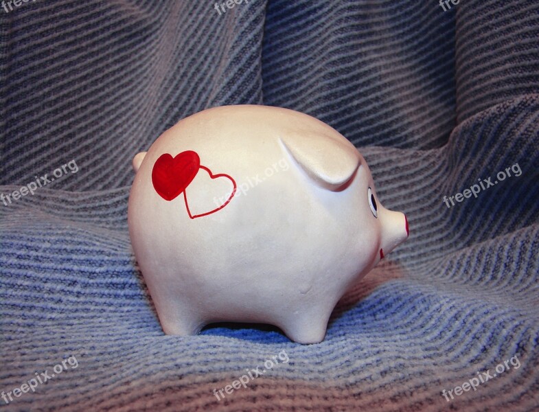 Piggy Bank Ornament Snout Cordial Happy