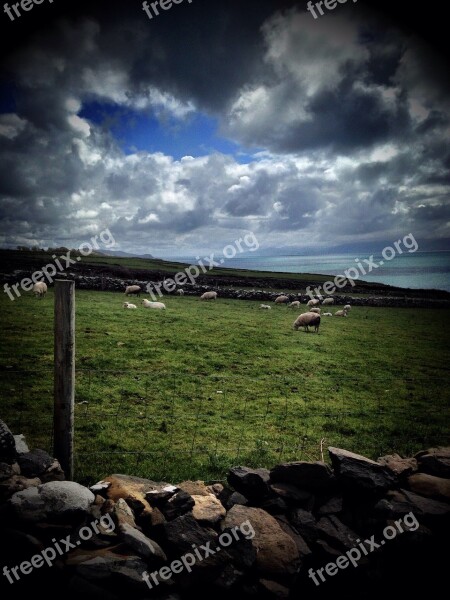 Ireland Sheep Landscape Free Photos