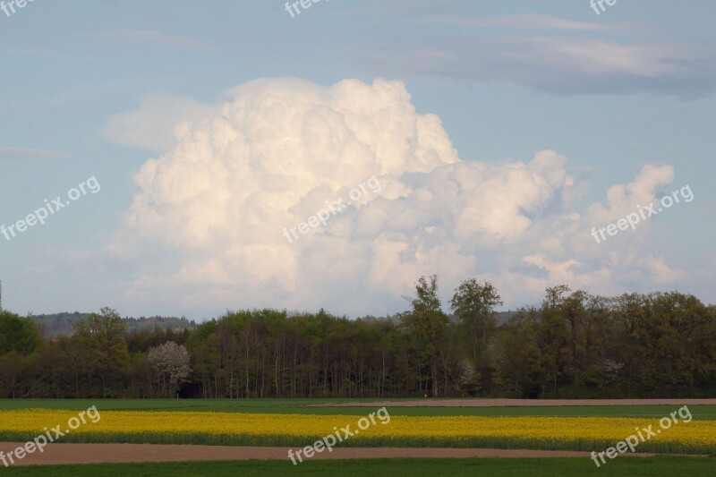 Oilseed Rape Agricultural Operation Yellow Field Harvest