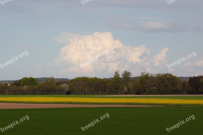 Oilseed Rape Agricultural Operation Yellow Field Harvest