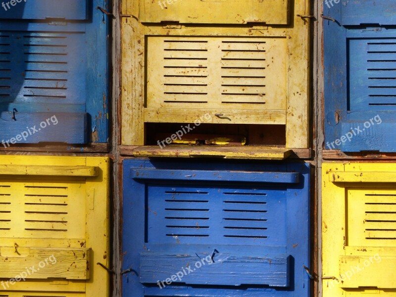 Beekeeping Bees Breeding Yellow Blue