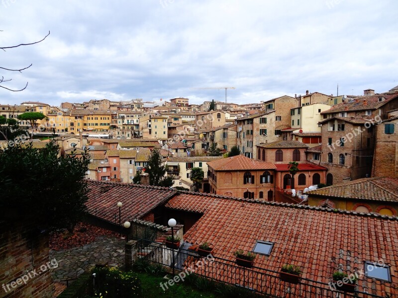 Siena Roofs Old Old Building Ceilings