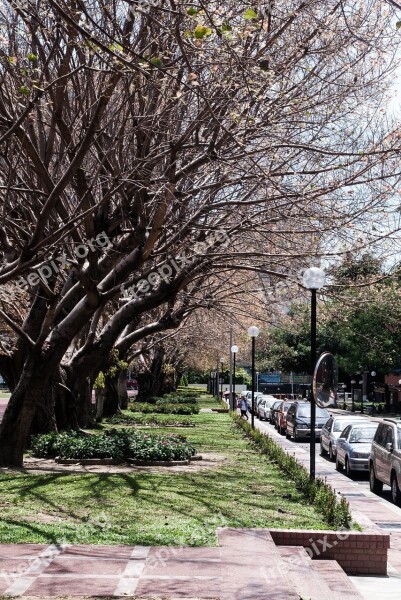 Street View Newnham Landscape Artistic Conception Views