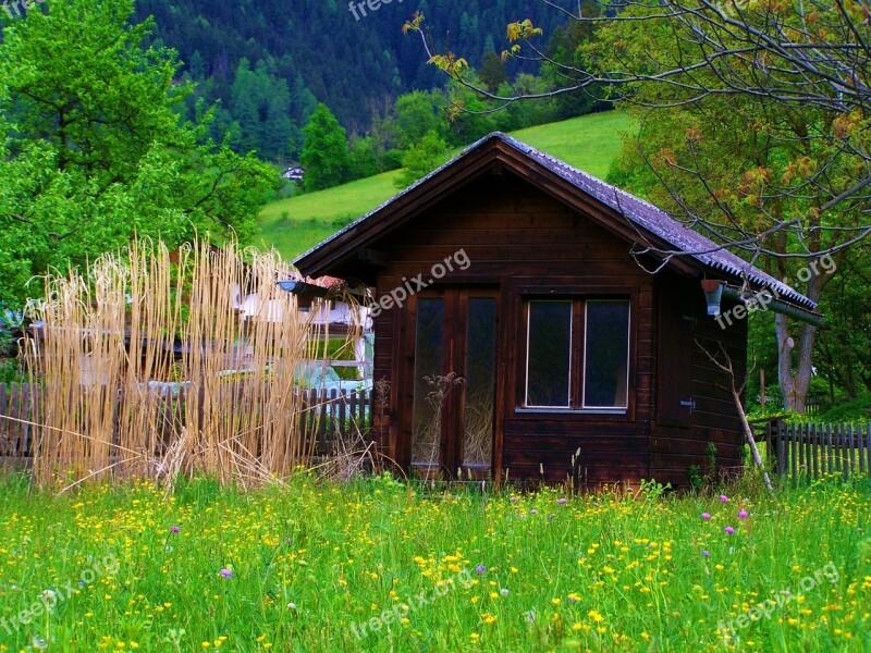 Wood Cottage Dry Reed Green Field Free Photos