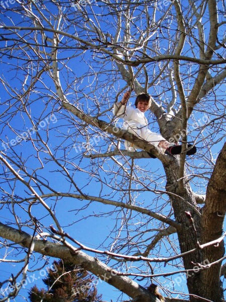 Tree Climbing Boy Tree Nature Winter