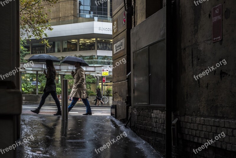 Sydney Rain Rainy Day Umbrellas Street