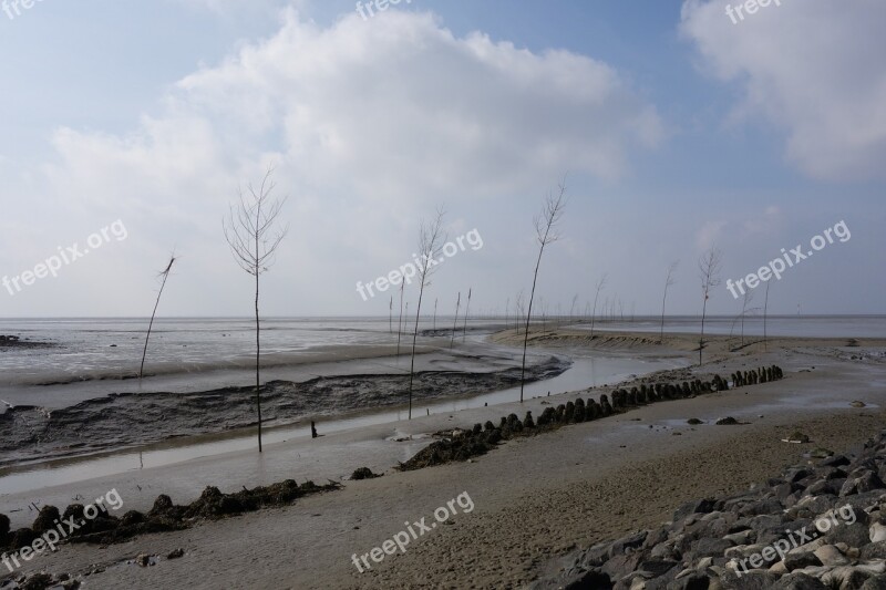 Wadden Sea Ebb Fairway Wremen Schlick