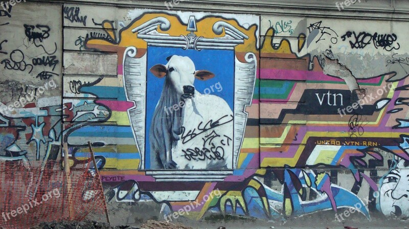 Graffiti Cow Rio Wall Painting