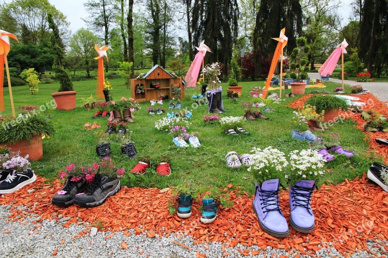 Pictures Of Flowers Shoes Flowers Funny Free Photos