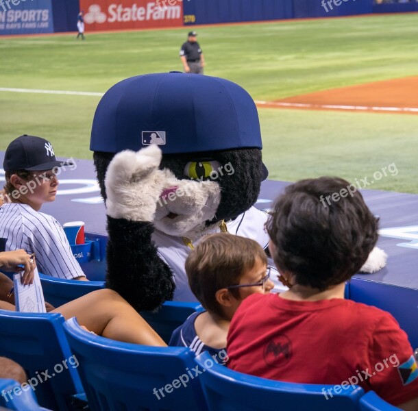 Tropicana Field Baseball Dj Kitty Mascot Florida