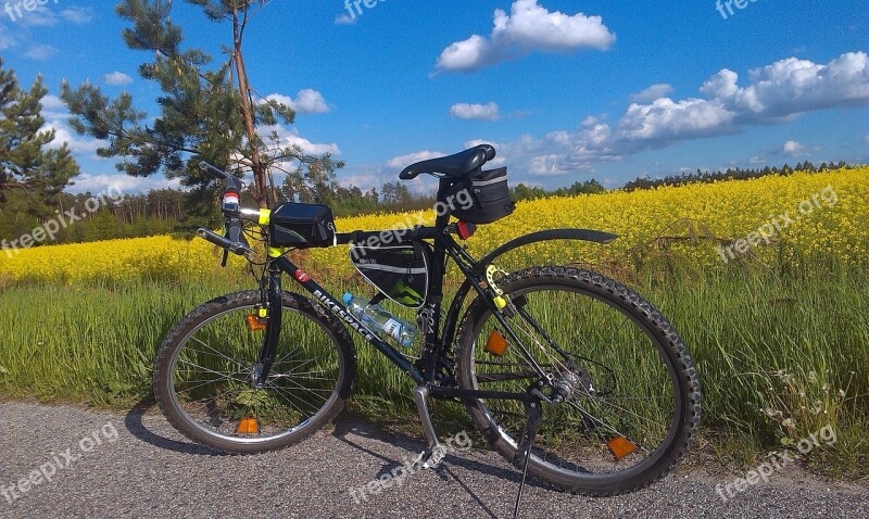 Bike Rapeseed Field Way Tour