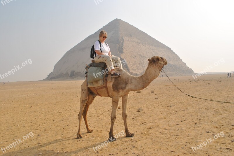 Camel Pyramids Tourist Information Free Photos