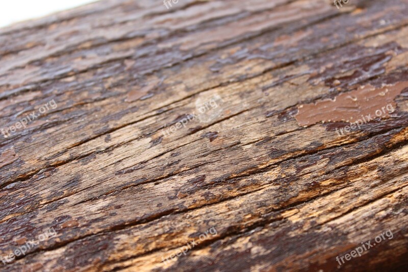 Wood Texture Decay Panel Surface