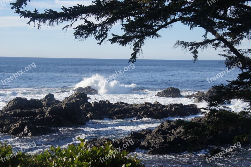 Ucluelet West Coast Canada Free Photos