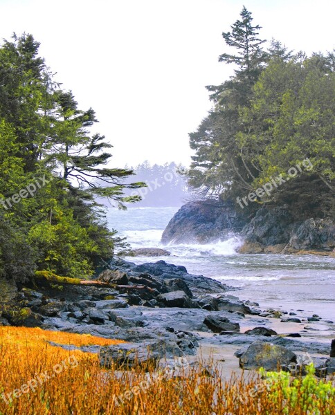 Tofino West Coast Canada Free Photos