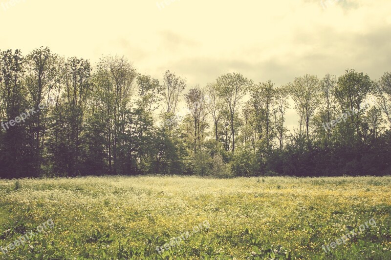 Landscape Netherlands Spring Air Nature