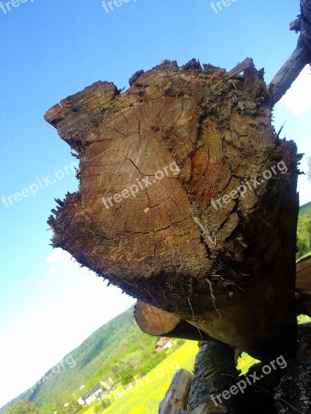 Wood Stack Firewood Nature Holzstapel