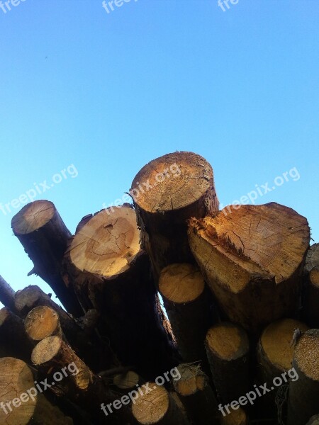 Wood Holzstapel Firewood Growing Stock Like