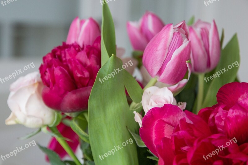 Flowers Peony Tulips Roses Bouquet